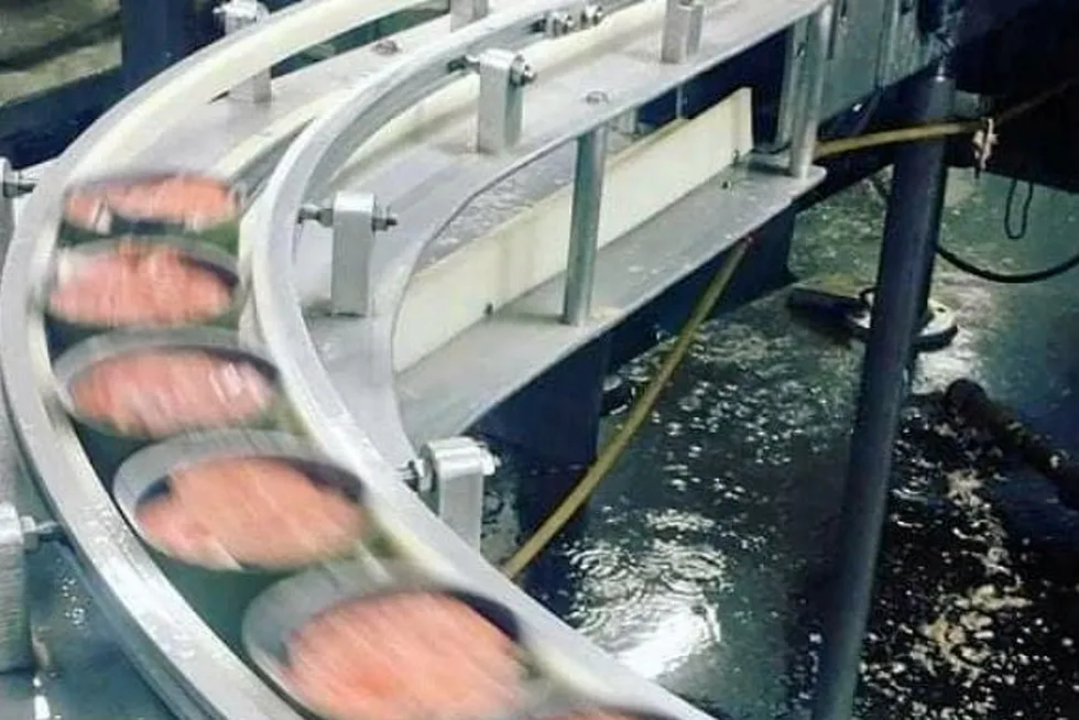 OBI Seafoods, with over 100 years of salmon canning history, won a USDA canned seafood bid in January.