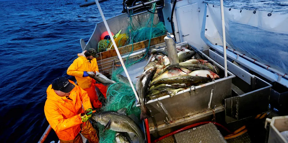 I min fars tid som fisker var det så å si ingen kvinner i fiskeryrket. Men jeg er ganske sikker på at hadde jeg insistert på at jeg ville gå i hans fotspor yrkesmessig, hadde han gjort alt han kunne for å hjelpe og rettlede meg.