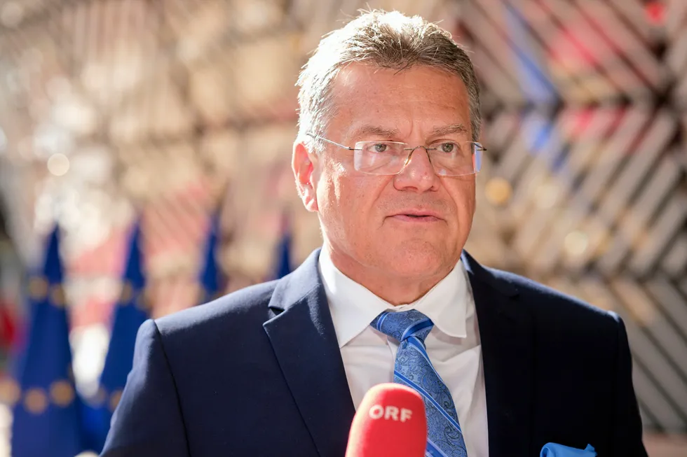 Maroš Šefčovič, newly appointed executive vice president for the European Green Deal.