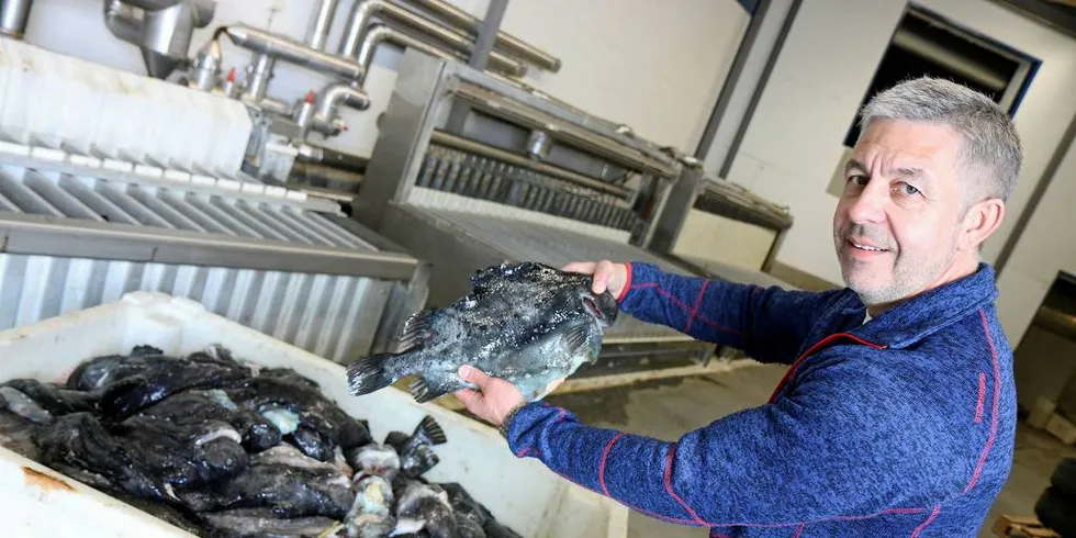 Johan Arvid Hansen på mottaket Aksel Hansen AS i Senjahopen med rognkjeksen som har blitt en langt mer attraktiv fisk etter at Norge fikk tilbake MSC-sertifiseringen.Foto: Jørn Mikael Hagen