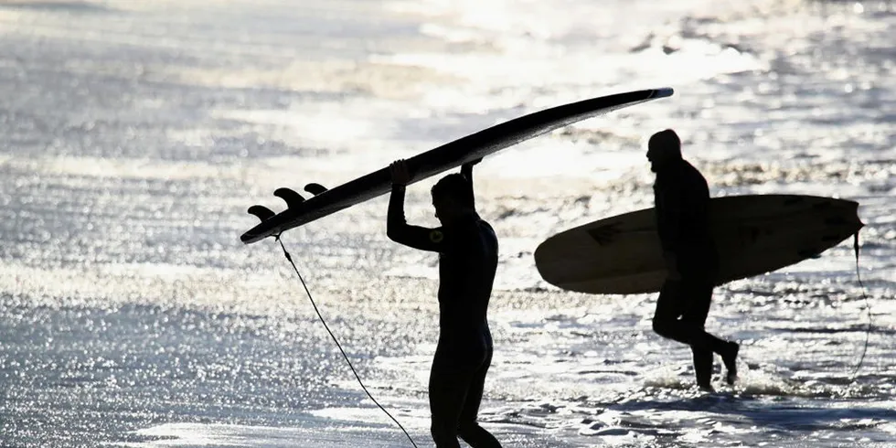 Surfers head into the Pacific Ocean in California