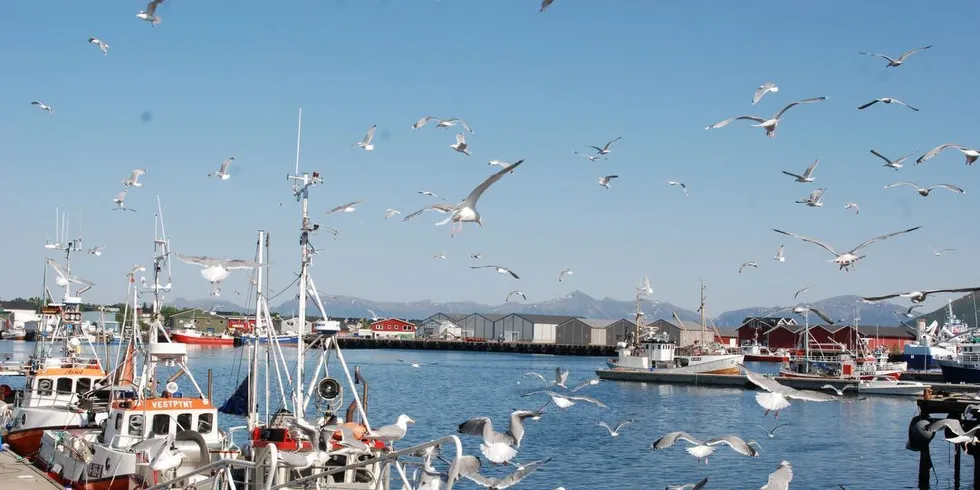 Myre havn i Øksnes kommune. Foto: Svein-Arne Nilsen