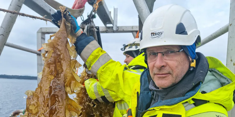 – Tare er en plante, og den trenger lys. Men lysbehovene varierer etter størrelse. Til å begynne med ligger den rundt en halv meter under havoverflaten, men vi har gjort forsøk som viser at tare kan dyrkes ned til ti meters dybde, sier teknisk sjef Harald Sveier i Lerøy Seafood.