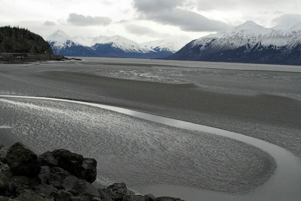 Options: the Cook Inlet