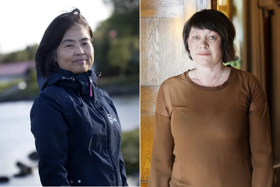 Folke Hermansens datter Cathrine Hermansen og enken Yuhong Jin Hermansen strides om ektheten av testamentet etter avdøde Folke Hermansen. Yuhong Jin Hermansen arvet alle verdier, viste testamentet.