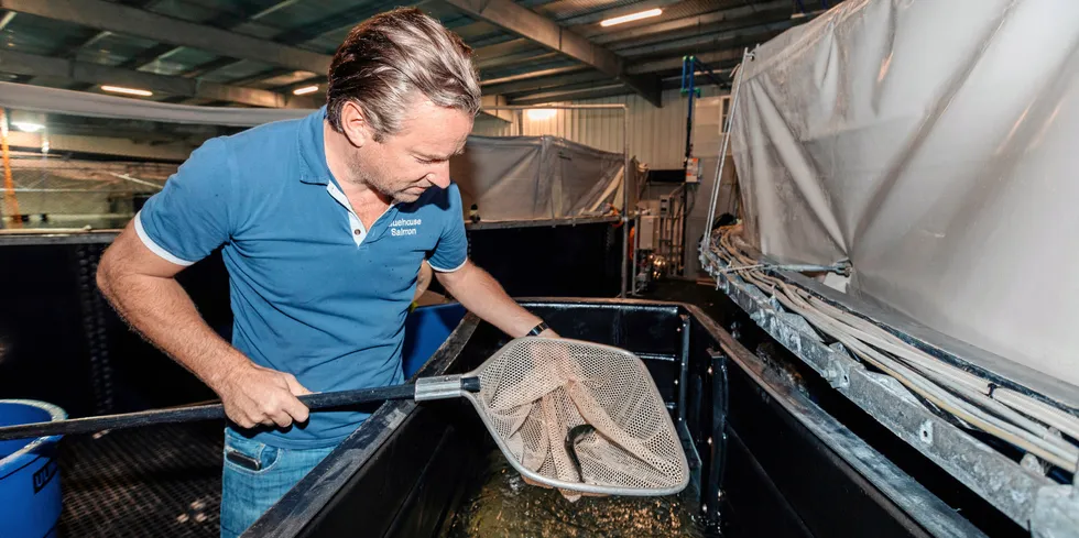 På bildet: Johan Andreassen, sjef og største eier i Atlantic Sapphire ser på en liten laks fra de gigantiske tankene. Atlantic Sapphire bygger et gigantisk oppdrettsanlegg på land utenfor Miami, USA. I 2031 har selskapet planer om å produsere 220.000 tonn laks.