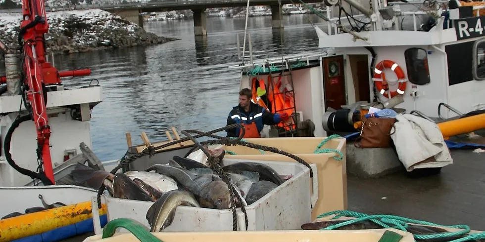 Prisene for fersk torsk har økt kraftig siden i fjor. Illustrasjonsfoto: Bjørn Eide