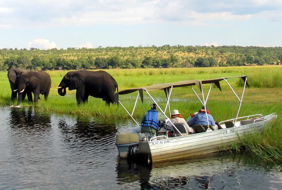 Wildlife-rich: the Chobe river would form the southern boundary of a proposed exploration block in Namibia's Zambezi Region, previously known as the Caprivi strip