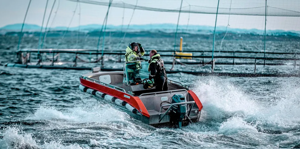 Måsøval har hovedkontor på Frøya i Trøndelag.