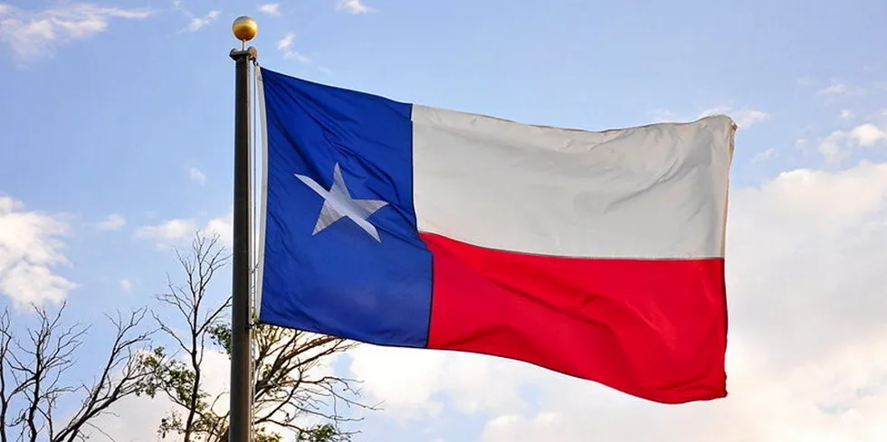. Texas flag.