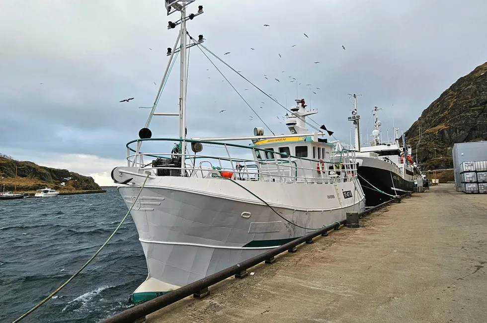 «Havørn» er en av fartøyene som må stoppe fisket. Her ligger den til kai ved en annen anledning.