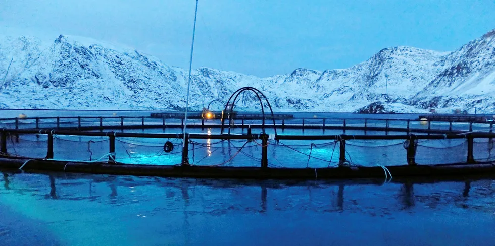 En kald kveld på en av Australis Seafoods lokaliteter i Chile.