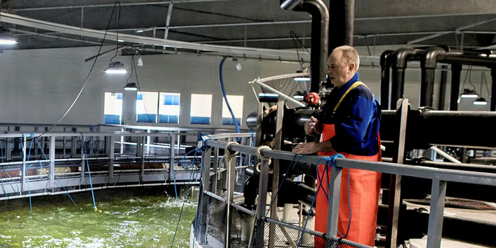 En rekke aktører bygger eller ønsker å bygge landbaserte oppdrettsanlegg for laks - både i Norge og andre steder. Har fra anlegget til Sashimi Royal i Hanstholm i Danmark.