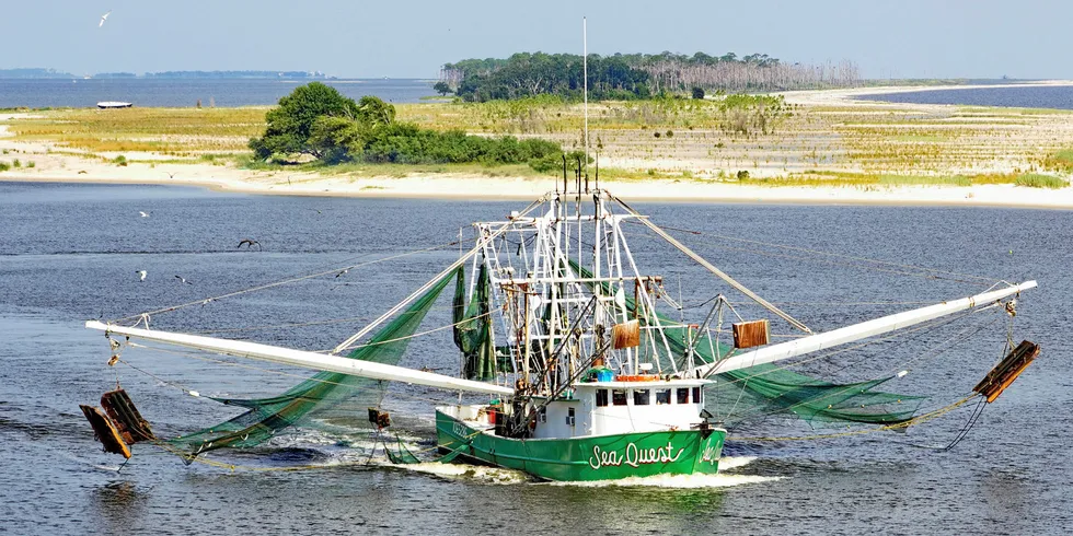 Gulf of Mexico shrimp harvests are off pace for the year through July.