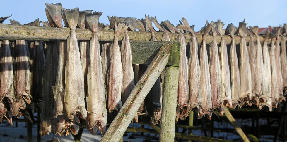 De største markedene for tørrfisk i november var Italia, Kroatia og Nigeria.