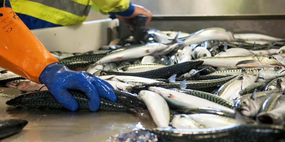 Et av de store temaene under forhandlingene mellom kyststatene om makrell er sonetilhørighet, hvor Norge tradisjonelt har hatt gode kort å vise til