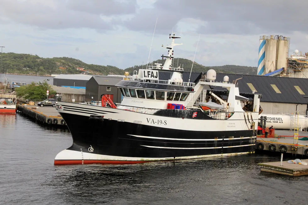 «Tenor», bygget i 2019, er Frode Jensens nyeste båt, her ved kai i Mandal etter å ha landet en rekefangst på rundt 1700 kilo til mottaket på Gismerøya i august 2024.