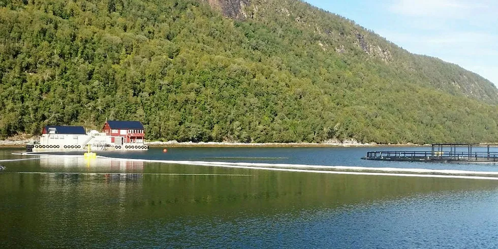 ALL LAKSEN ER DØD: Cermaq har gjennom sitt eierskap i Ballangen Sjøfarm tre anlegg i Ofotfjorden. Ett av dem, Tortenneset (bildet) har ingen fisk igjen etter algeoppblomstringen.