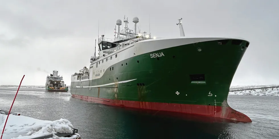 Tidligere i mars krasjet «Senja» inn i kaianlegget tilhørende Chrisma Eiendom, og måtte slepes løs av ankerhandlingsfartøyet «Havila Venus» og RS «Kaptein Buhre»