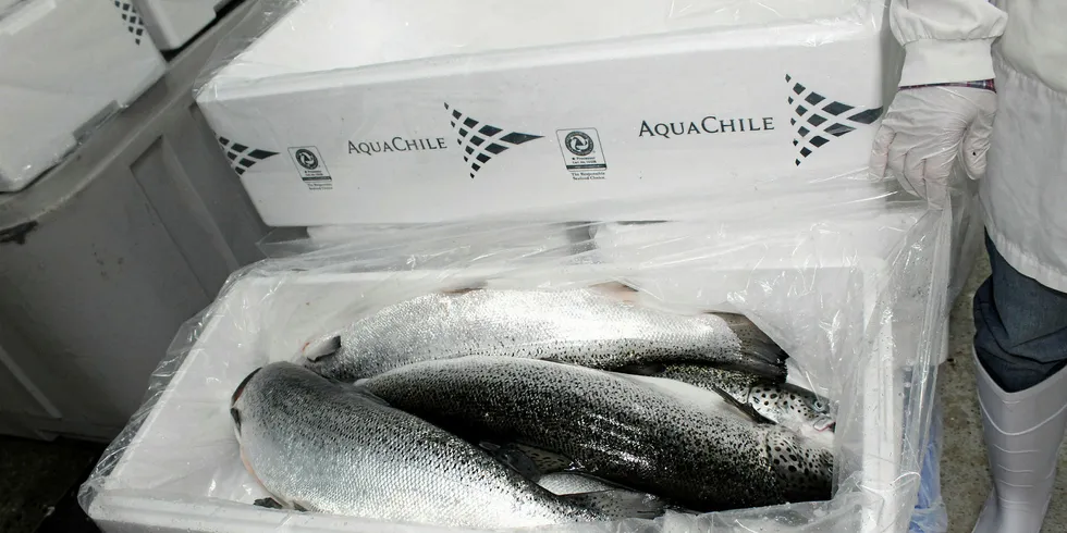 AquaChile's fresh Atlantic salmon box