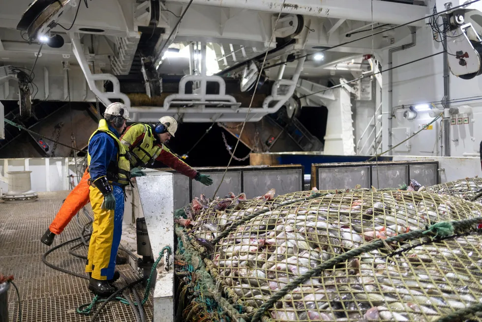 Fiskebåts Jan Ivar Maråk synes fiskeriministeren viser lite interesse for havfiskeflåtens utfordringer. Her fra Lerøy Havfisk-tråleren «Kongsfjord».