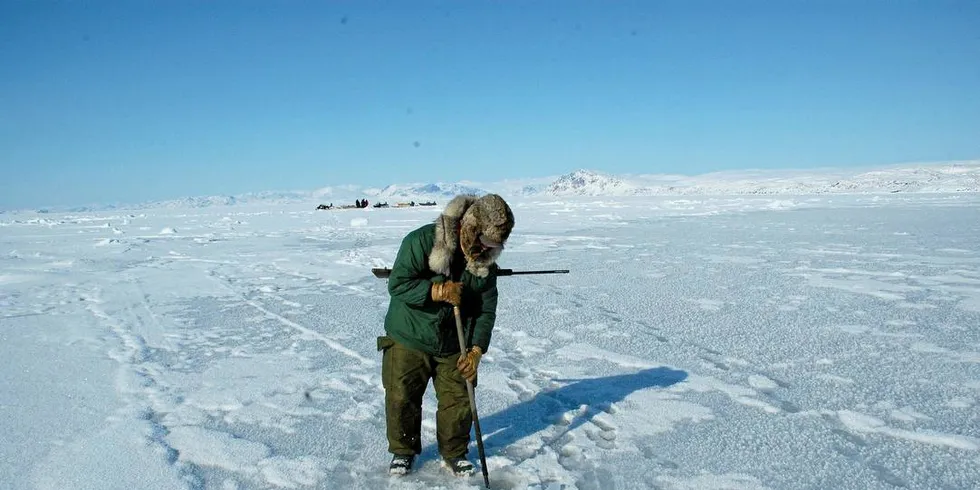 Illustrasjonsfoto: Gunnar Sætra, Havforskningsinstituttet