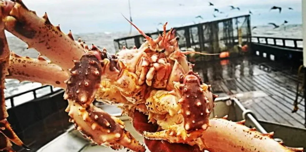 Alaska's iconic Bristol Bay red king crab fishery was closed last fall for the first time in over 25 years.