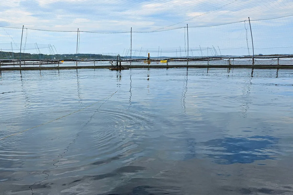 Illustrasjonsfoto fra Måsøval: Selskapet er trolig rammet av ILA.