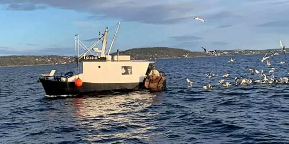 Reketråleren «Luna» ble senket ved Rådhuskaien i Oslo.