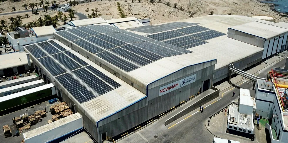 At its the Luderitz plant in Namibia, a major processor of hake and belonging to its NovaNam subsidiary, a 3,132-square-meter photovoltaic solar park has been installed.
