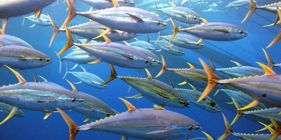 The products recalled were yellowfin tuna medallions sourced from Vietnam.