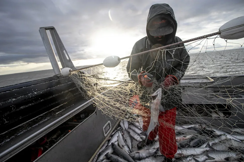 Unlike most seasons, Bristol Bay fishermen have some idea this year of what the base price will be for the fish they catch.