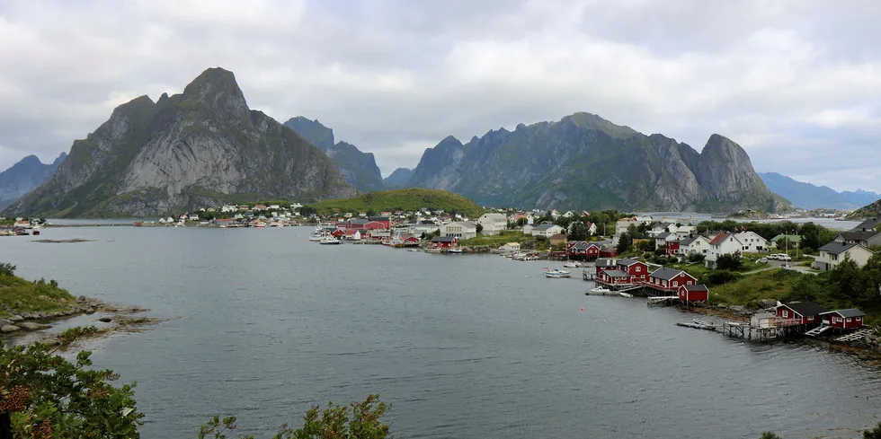 Fiskarlaget ber fiskerne avstå fra å fiske sild i Reinefjorden