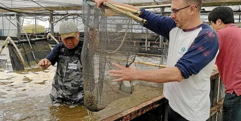 Det første partiet med reker produsert i Europas største rekefarm ble gitt til den ukrainske hæren, sier Vismar Aquas CTO, Lubomir Haidamaka.