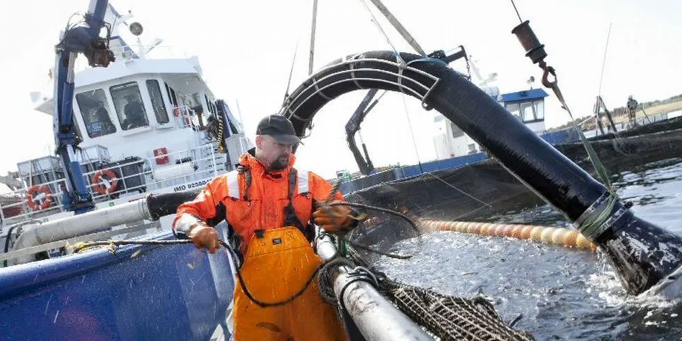 AVLUSING: En brønnbåt venter på laks som skal avluses med hydrogenperoksid. Ill.foto