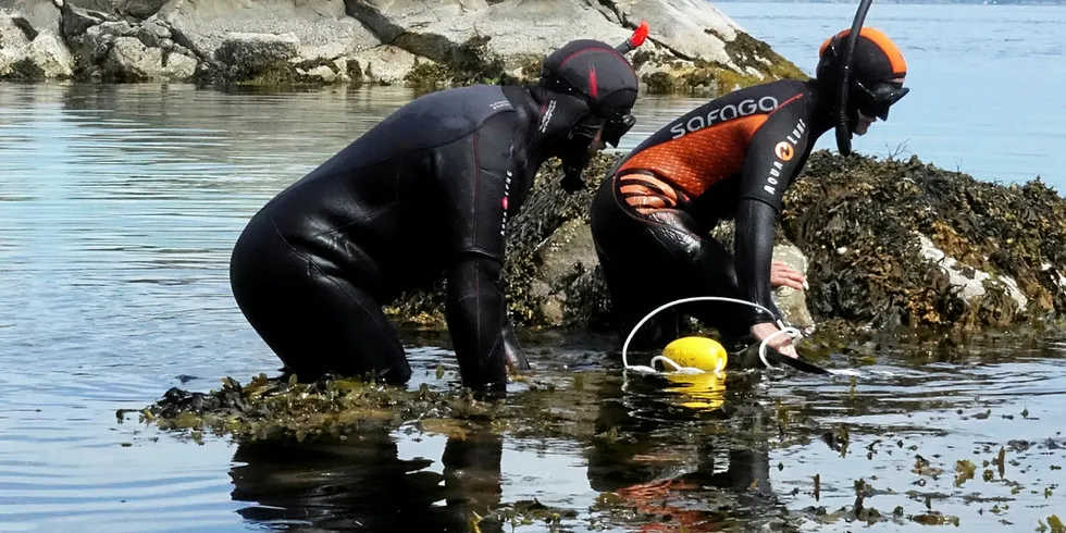 FØLGER MED: Forskere på vei ut med utstyret som skal følge med på leppefisken.