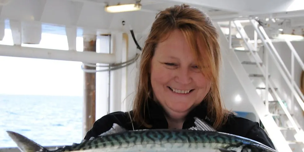 Makrell av denne størrelsen er ikke hverdagskost. Det eksemplaret på 819 gram og 47 cm som tekniker Åse Husebø her viser fram, dukket opp i forskningstrålen rett utenfor Tranøy fyr i Nordland. Foto: Leif Nøttestad / Havforskningsinstituttet