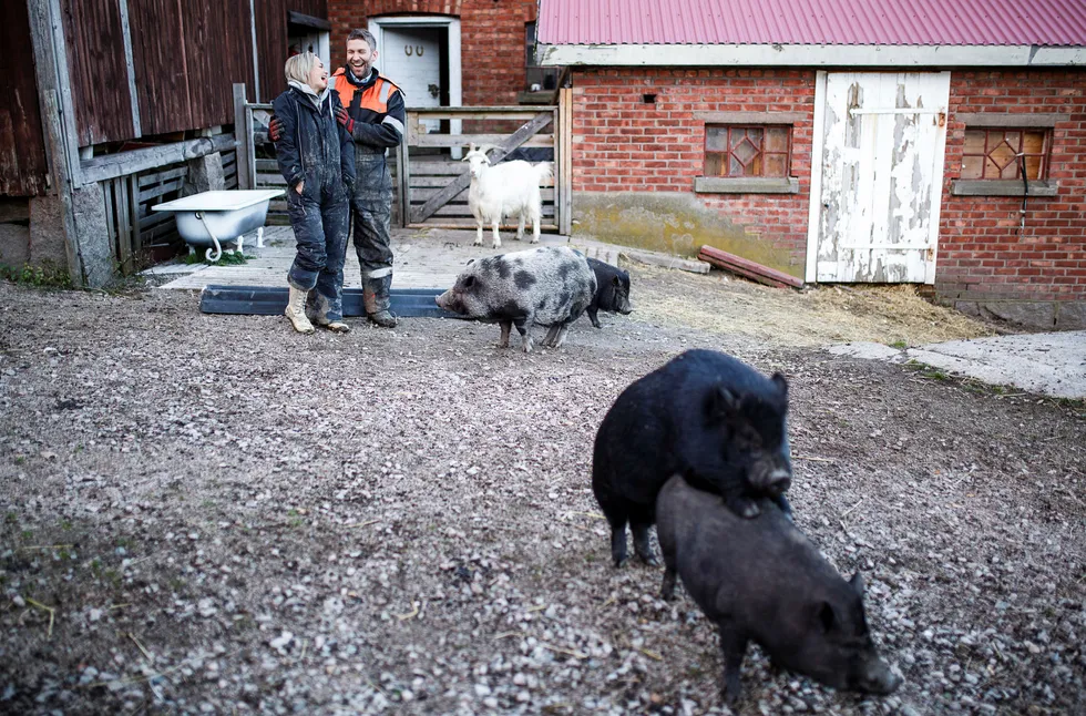 Gøy på landet. Andreas Bjørnebye og samboeren Anette Westgaard har funnet mer mening med livet på en gård i Fredrikstad. Bjørnebye savner ikke Oslo. Han lyttet til sin indre stemme og sa opp jobben han hadde.