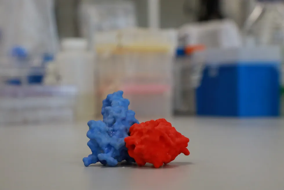New battle: a model depicting a coronavirus spike protein (blue) connected to a human antibody