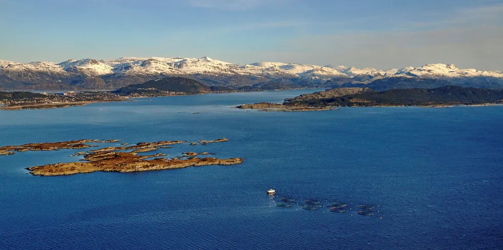 Bilde fra lokaliteten Oddane til Svanøy havbruk.