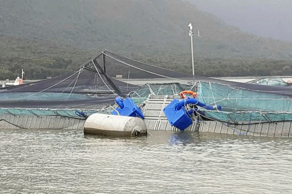 The number of salmon fatalities following storm damaged has been revised upwards by 18 percent.