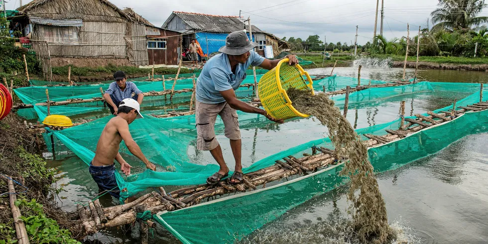 Vestas turbines will be installed next to shrimp farms in Vietnam's Mekong Delta