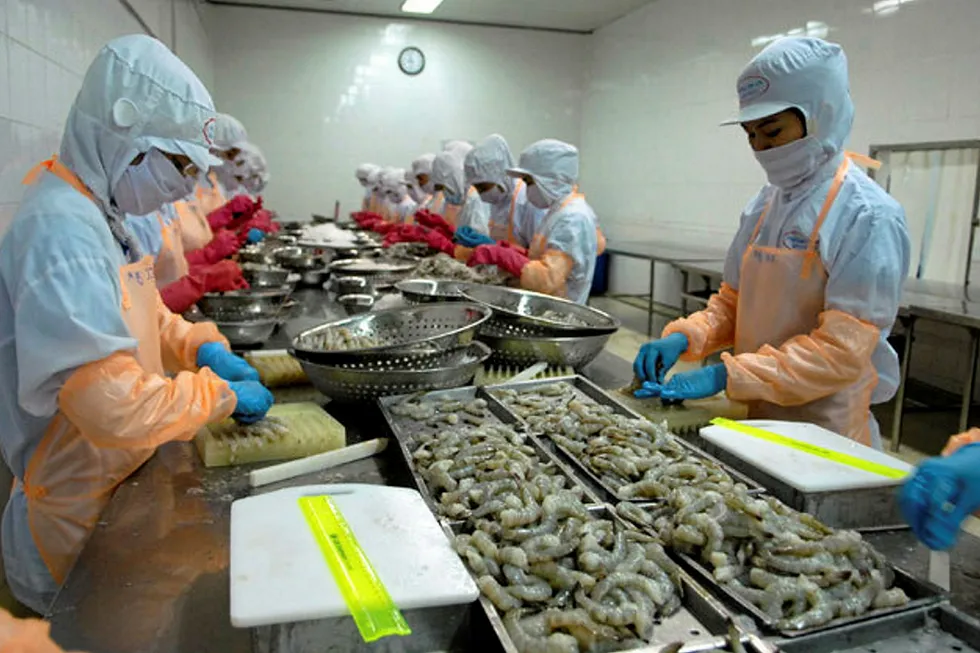 Vietnam shrimp processing.