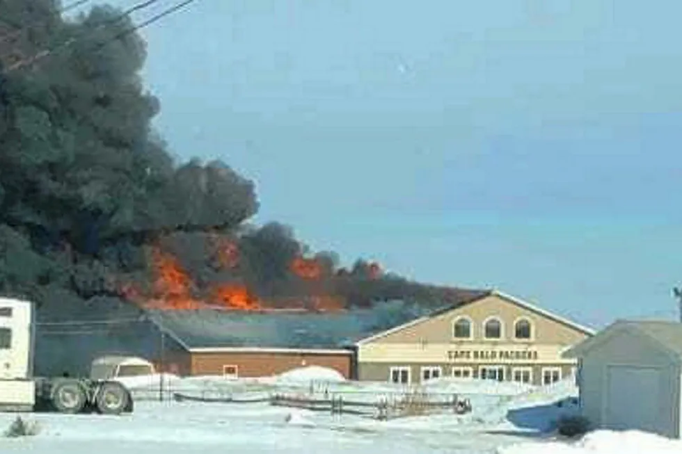 Cape Bald Packers processing facility burnt down in Feb.