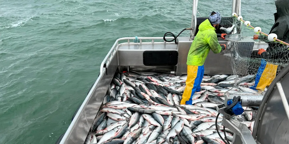 The US government has become a key customer for Alaska's seafood processors.