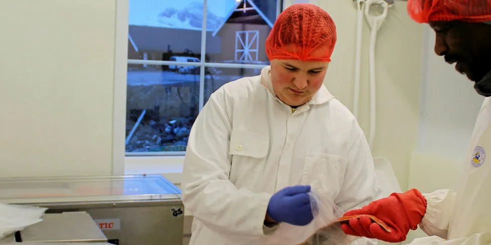 DAGENS PRODUKSJON: Svanur Thor Johnsson og Ismail Adam vakuumpakker dagens produksjon for skolens egen fiskebutikk på Inndyr.