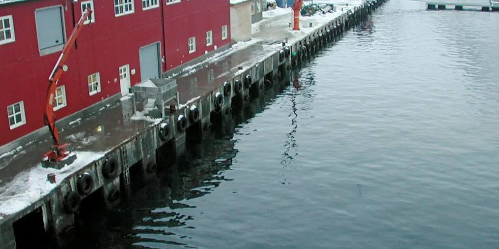 KONKURS: Anlegget til Polarctic Seafood i Øksfjord.