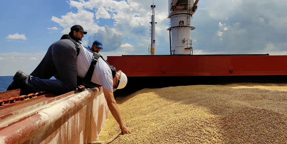 UN inspectors check a load of grain shipped out of war-torn Ukraine.