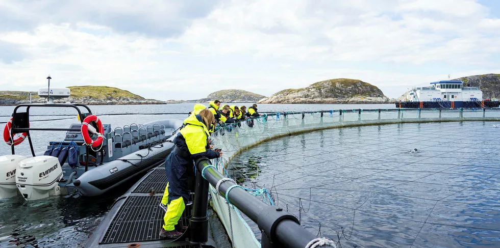 Bjørøya har et visningsanlegg i Flatanger kommune.