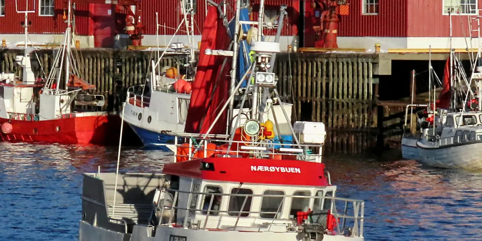 LASTET: Her er det «Nærøybuen» fra Leinøy på Møre som godt lastet ankommer havna i Henningsvær.